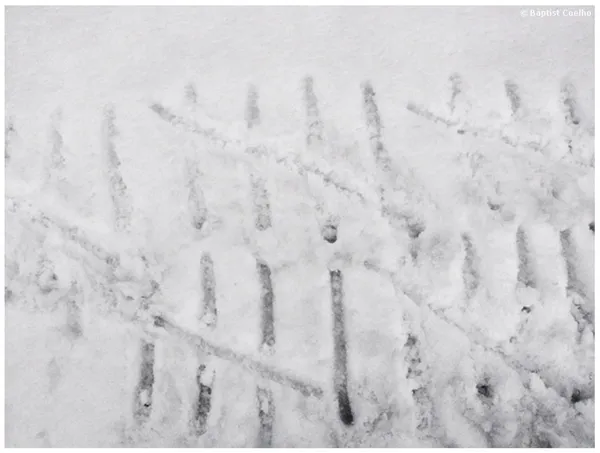 Baptist Coelho Sixty-five days more to go...., 2009 digital print on archival paper 32 x 43 inches