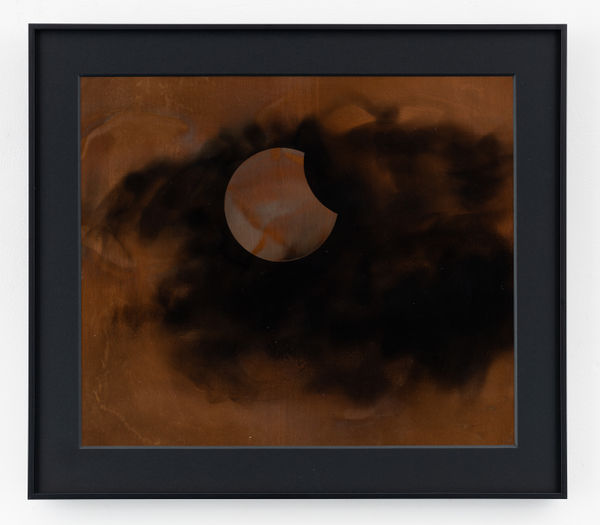 Rohini Devasher, Shadow Portrait 2 , 2024