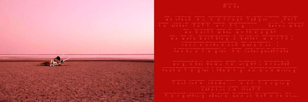 Tejal Shah Deciphered V, Diptych, 2013 Photograph and text on canvas, digital archival print 4 x 6 inches