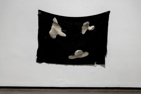 The Kalpana The turtle's sensations never felt before, 2019 Bleach, textile 57 x 43 inches