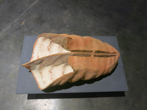 Khageswar Rout Study of Things, "Sesamum Indicum", 2017 Earthenware, Englobe and Glaze 22 x 21 x 14 inches