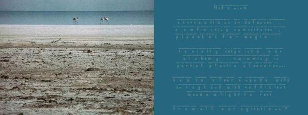 Tejal Shah Deciphered IV, Diptych, 2012 Photograph and text on canvas, digital archival print 4 x 6 inches