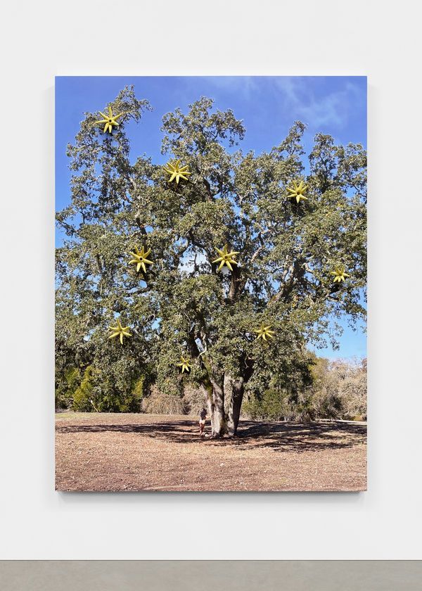 Self Portrait, Salabhanjika