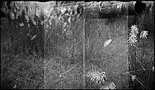 Shumon When dead ships travel 4, 2015 Print on Archival rag fine art paper 24 x 51.5 inches