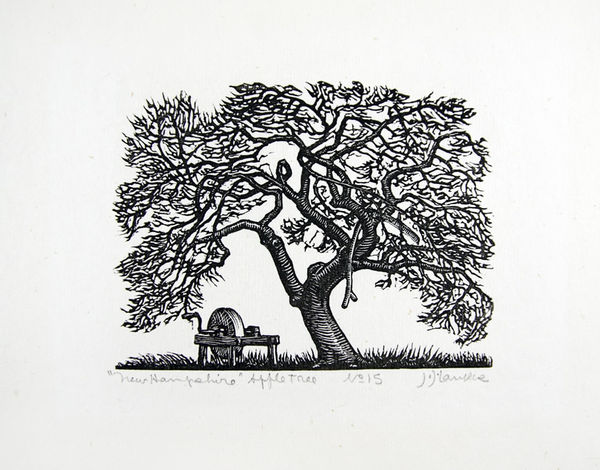 "New Hampshire" Apple Tree. Print