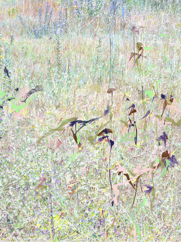 Sandra Kantanen, Meadow 8, 2023