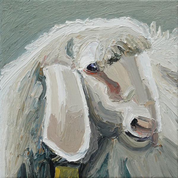 Ralph Fleck, Schaf 5/II, 2024