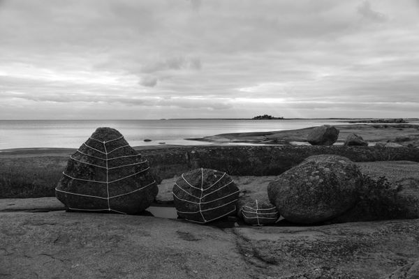 Anna Reivila, From the series Bond, No.21, 2016