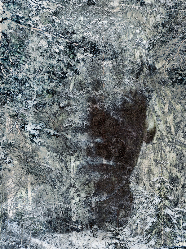 Santeri Tuori, Immediate Nature 2 | Niila , 2023