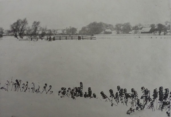 P. H. Emerson, From Marsh Leaves, Marsh Weeds , 1895