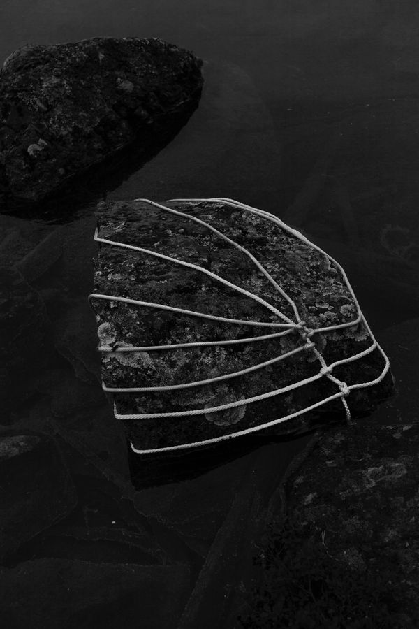 Anna Reivila, From the series Bond, No.33, 2017