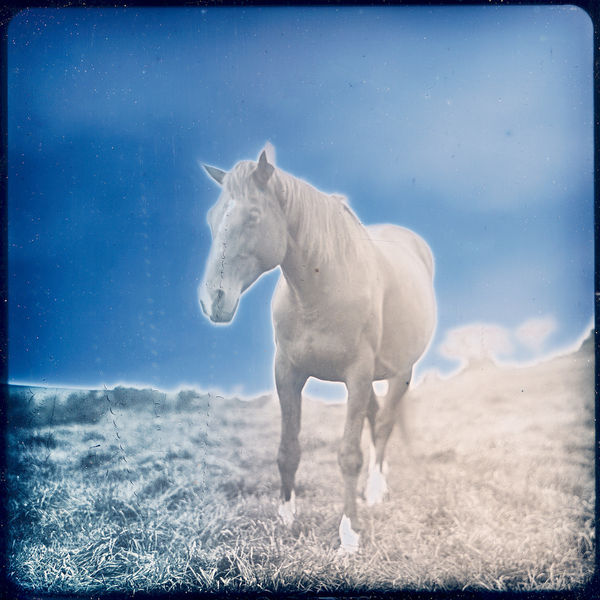 Takashi Arai, Horses No.2 Arakawa, Tono, 25 September 2023