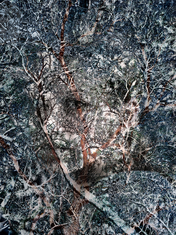 Santeri Tuori, Immediate Nature 1 | Ilona, 2023