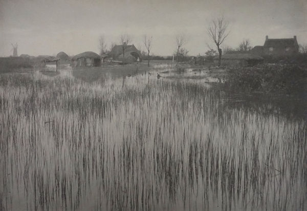 P. H. Emerson, From Life and Landscape on the Norfolk Broads, A Rushy Shore , 1886