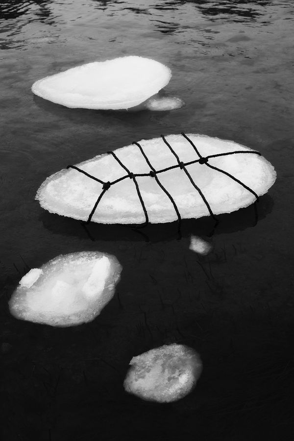 Anna Reivila, From the series Bond, No.25, 2016