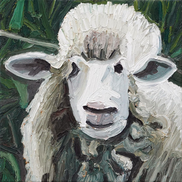 Ralph Fleck, Schaf 1/II, 2024