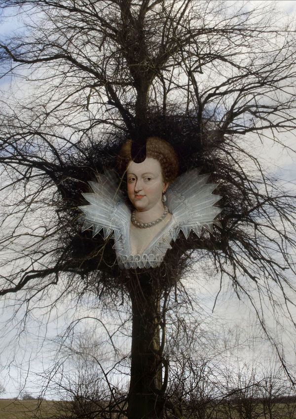 Tessa Traeger, Family Trees, No.19 Queen Marie de Medici , 2022