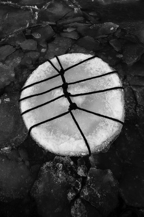 Anna Reivila, From the series Bond, No.28, 2016