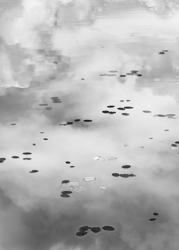 Santeri Tuori, Water Lilies 26, 2023