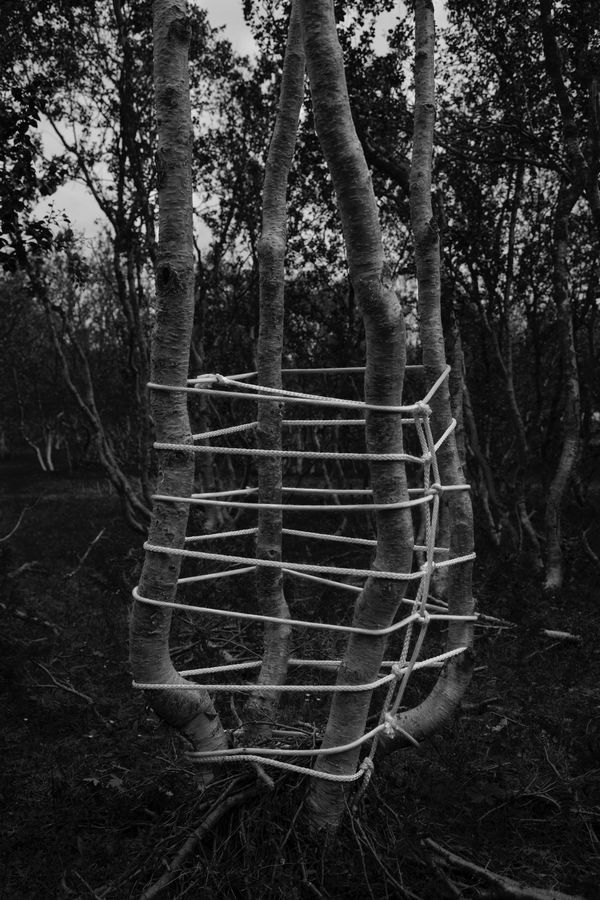 Anna Reivila, From the series Bond, No.34, 2017