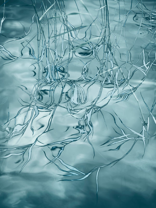 Santeri Tuori, Water Lilies 23, 2023