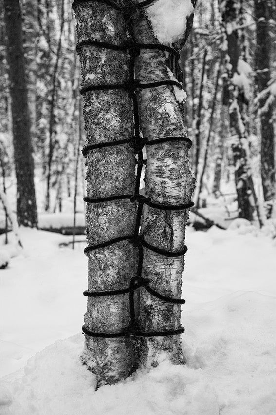 Anna Reivila, From the series Bond, No.26, 2016