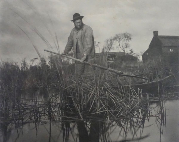 P. H. Emerson, From Life and Landscape on the Norfolk Broads, Cutting the Gladdon , 1886