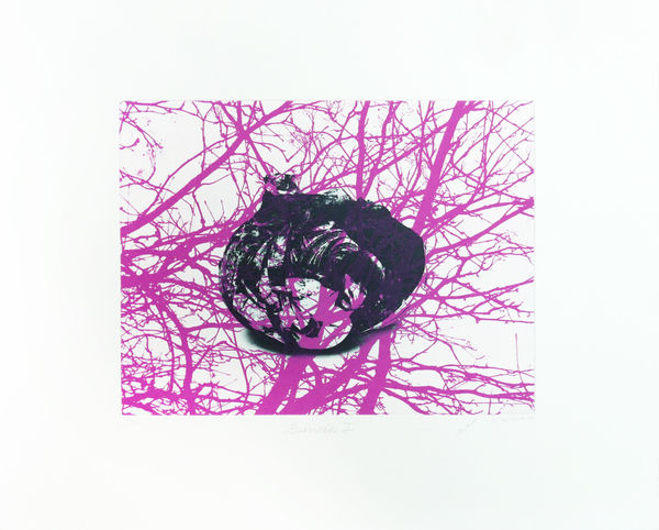 HM Queen Sonja and Emma Nishimura - Branches I, 2018