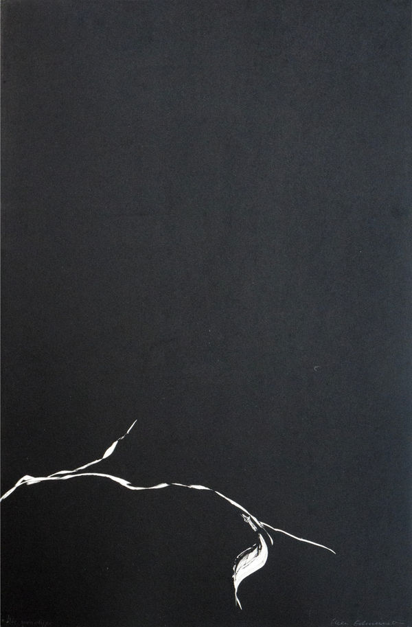 Ellen Edminson, Uten tittel