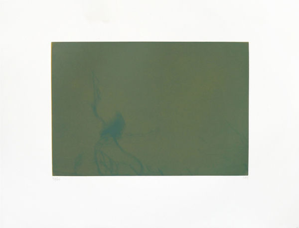 Svend-Allan Sørensen, Birds of the Faroe Islands - Crow, 2015