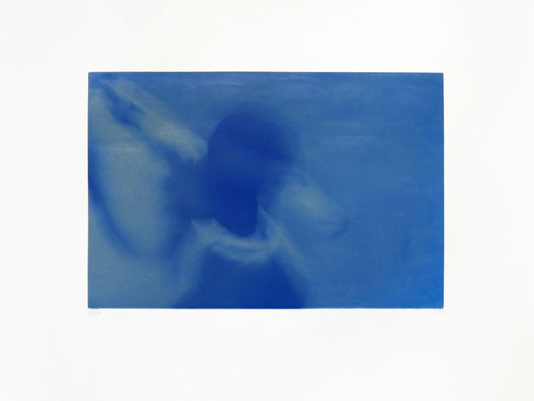 Svend-Allan Sørensen, Birds of the Faroe Islands - Mallard, 2015