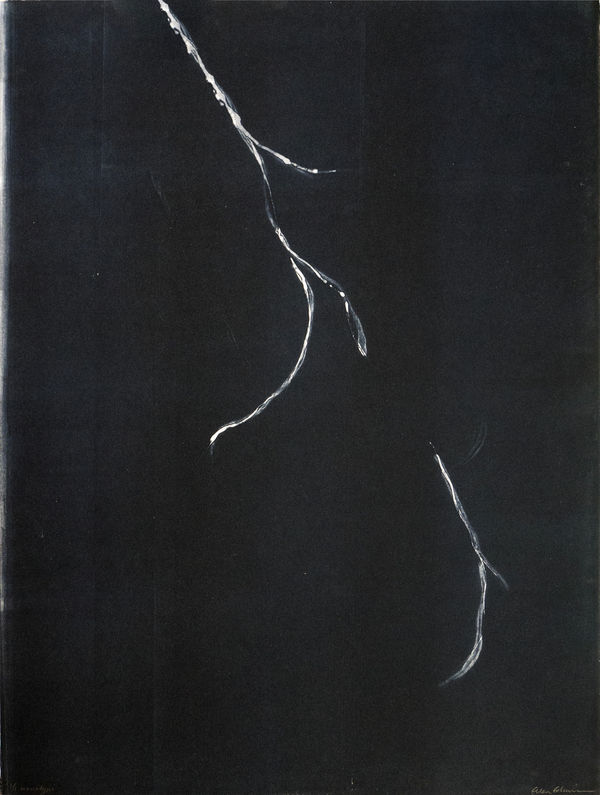 Ellen Edminson - Uten tittel