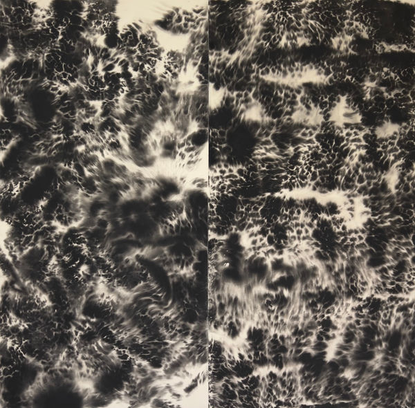 Ren Light Pan, Untitled (double landscape), 2022