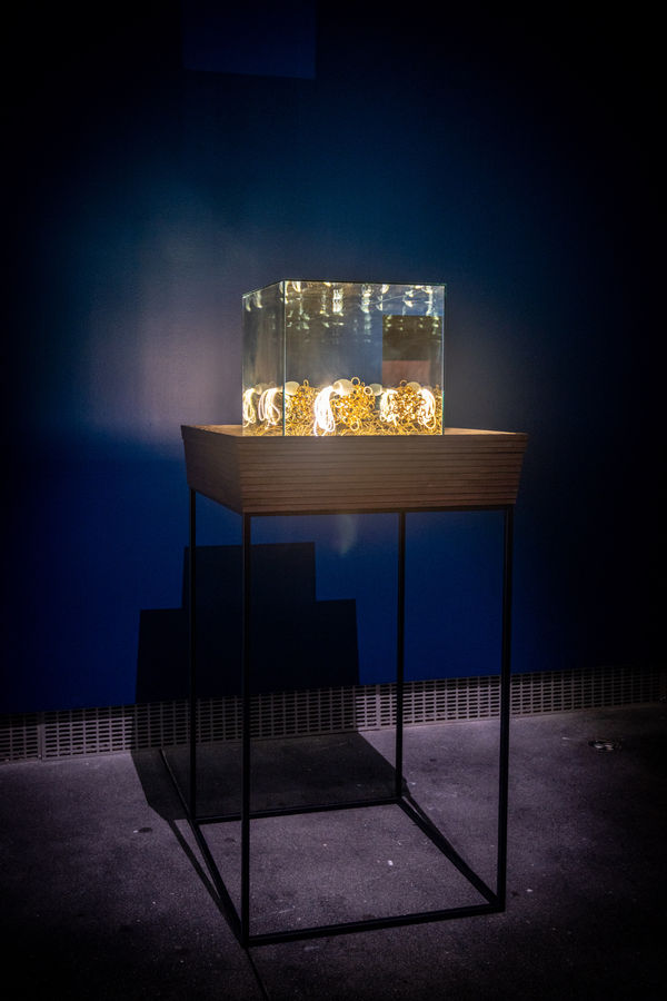 NICK DONG, Auspicious 88 - Treasure Vase of Gravity 八十八吉祥之重力的寶瓶, 2024