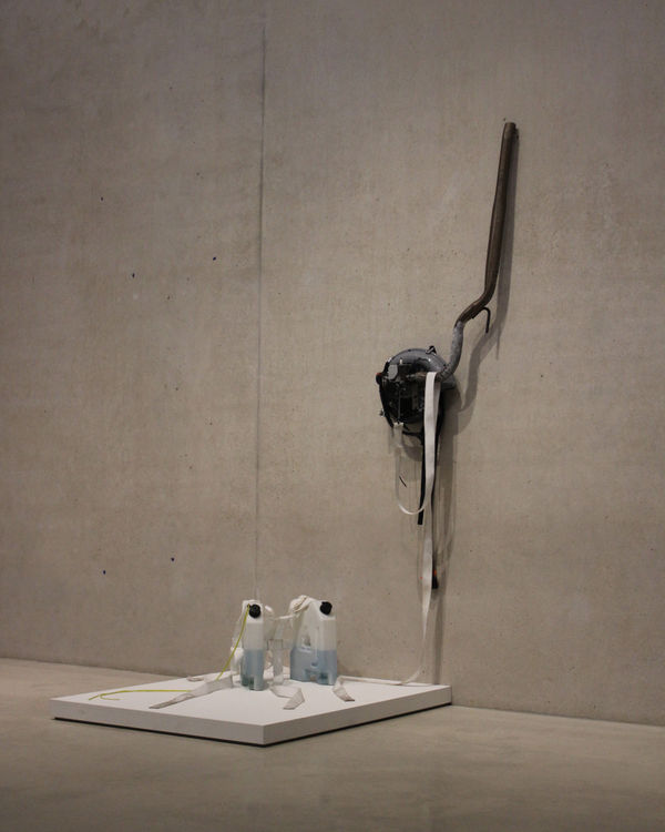 Vestigial Limb V4 and Feeding Tanks