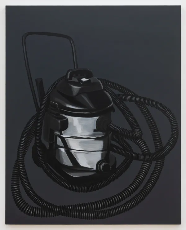 Vanessa Gully Santiago, ShopVac, 2020