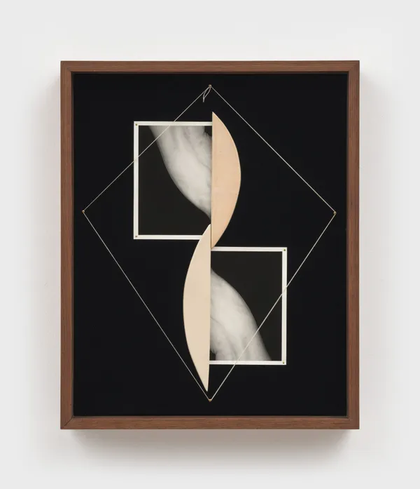 Sheree Hovsepian, Slippage, 2026