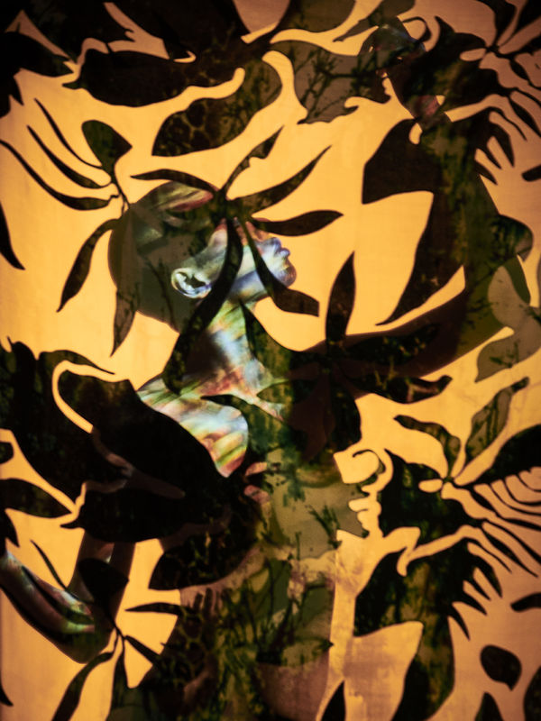 Carli Hermès, Distortion - Rabia