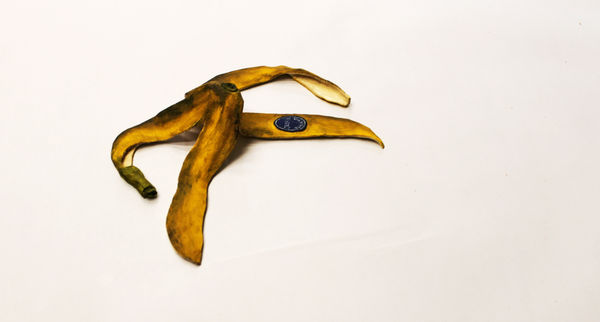 Jessi Strixner, Banana Lying