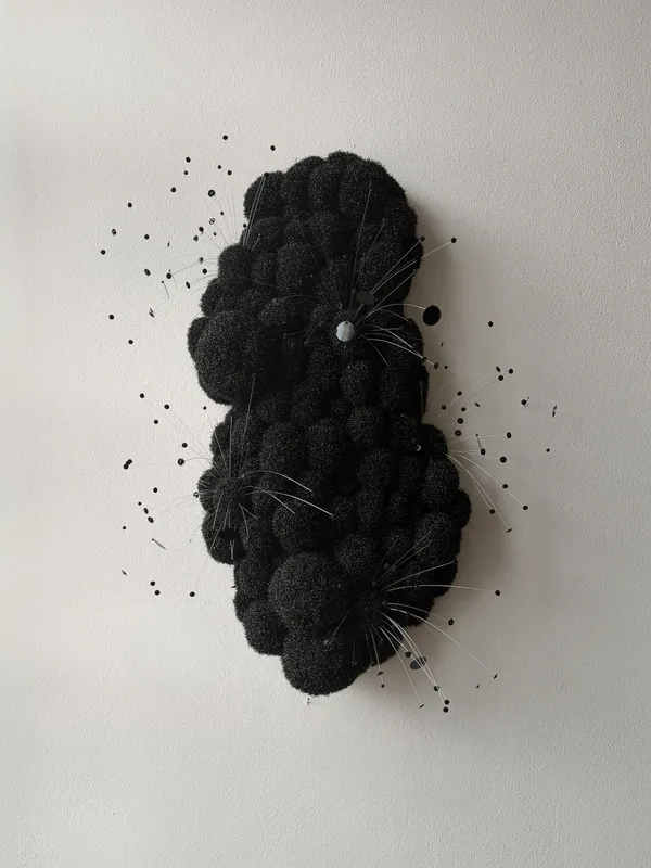 Sofie Aaldering, Shadow