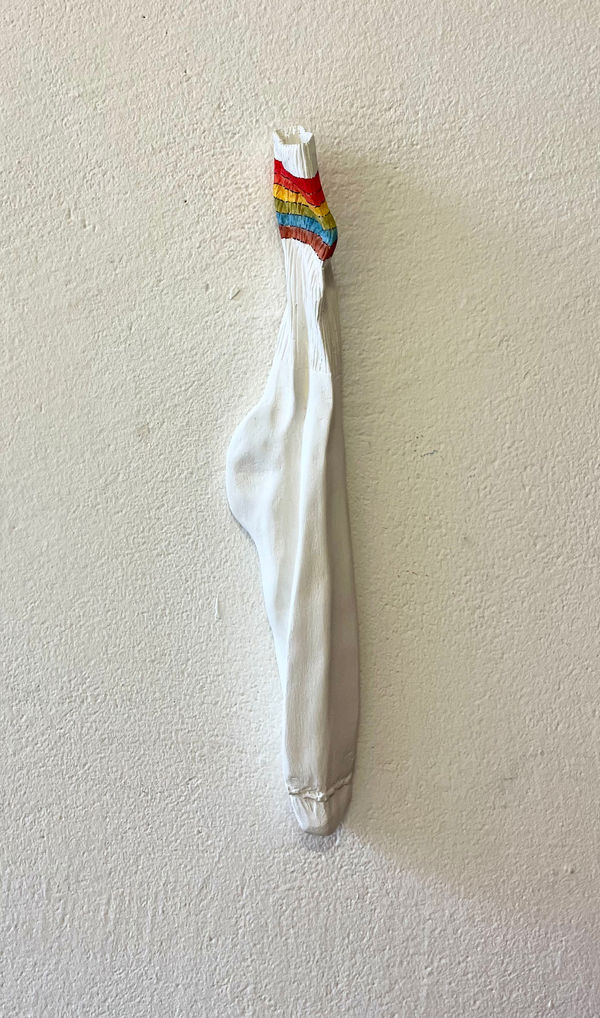Jessi Strixner, Rainbow Sock