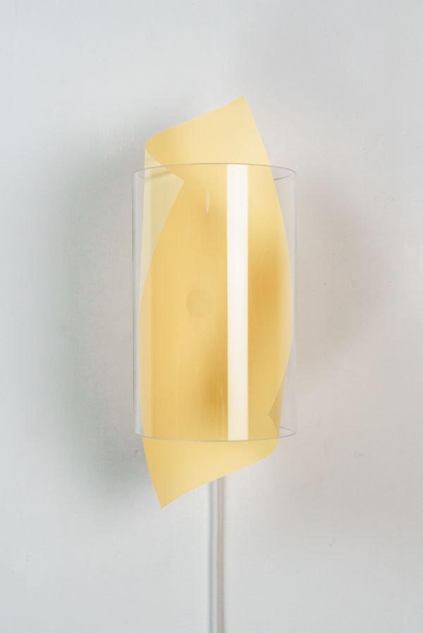 Johannes Langkamp, Worthwhile (Sunflower yellow)