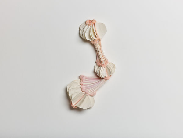 Daniela Bergschneider, Flex V