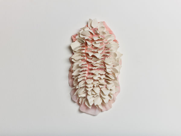 Daniela Bergschneider, Untitled 2024