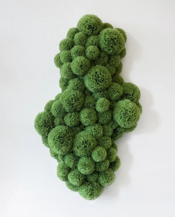 Sofie Aaldering, Big Moss Planet