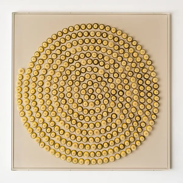 Hilde Trip, Around the Sun