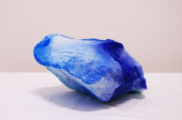 Pedro Matias, Blue Stylophora Callicle