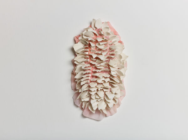 Daniela Bergschneider, Untitled 2024