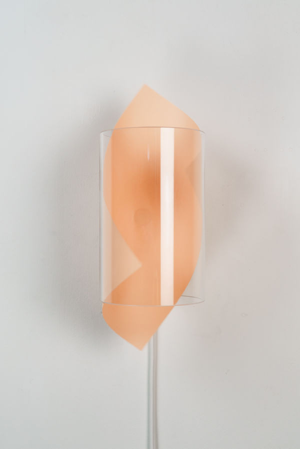 Johannes Langkamp, Worthwhile (Apricot)