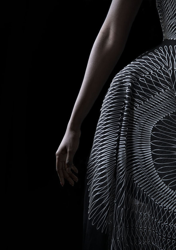 Carla van de Puttelaar, Synergia Series - VII